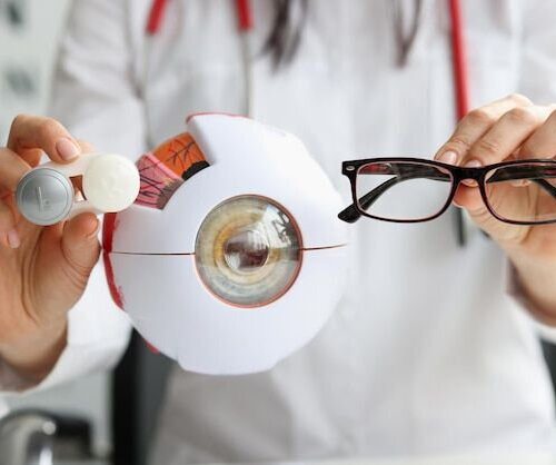 Premium Photo _ Ophthalmologist doctor holding eyeglasses and lenses near artificial model of eye closeup